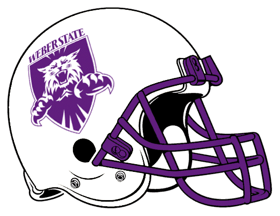 Weber State Wildcats 2001-2005 Helmet Logo DIY iron on transfer (heat transfer)
